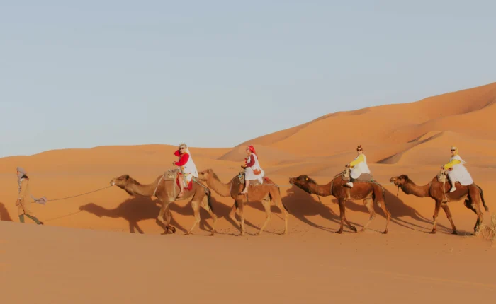12 Days Tour from Tangier